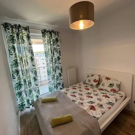 Oisin Cosy Apart Center